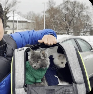 Over 120 happy kittens