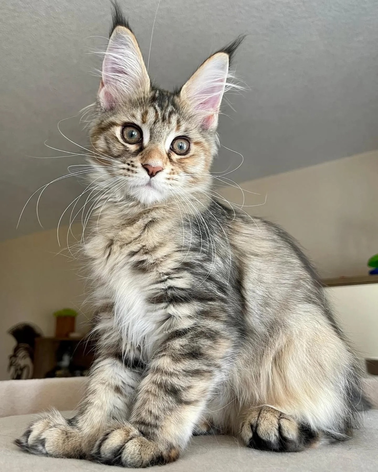 <span style="font-weight: bold;">Ruby</span>